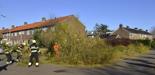 2020/86/20200329-17u36 GB 013 Stormschade Swammerdamstraat.jpg